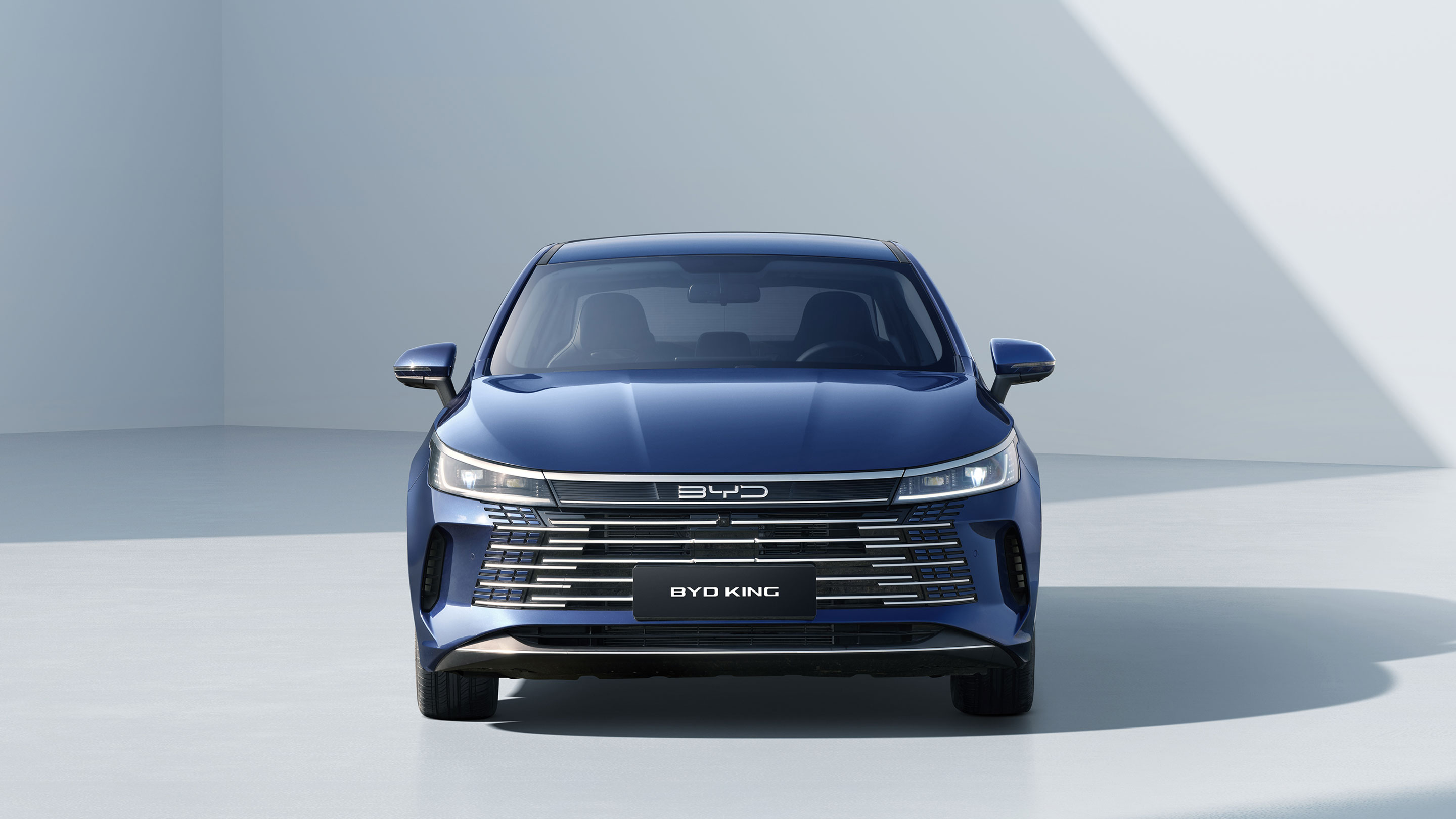BYD KING