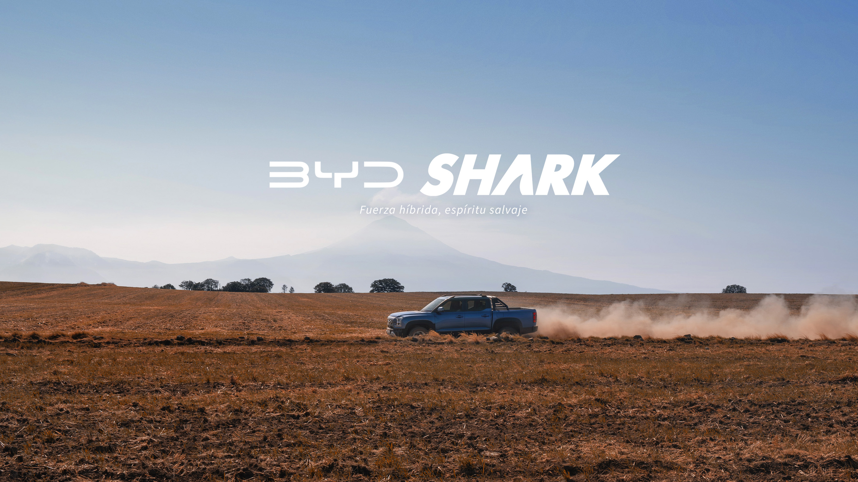 BYD SHARK